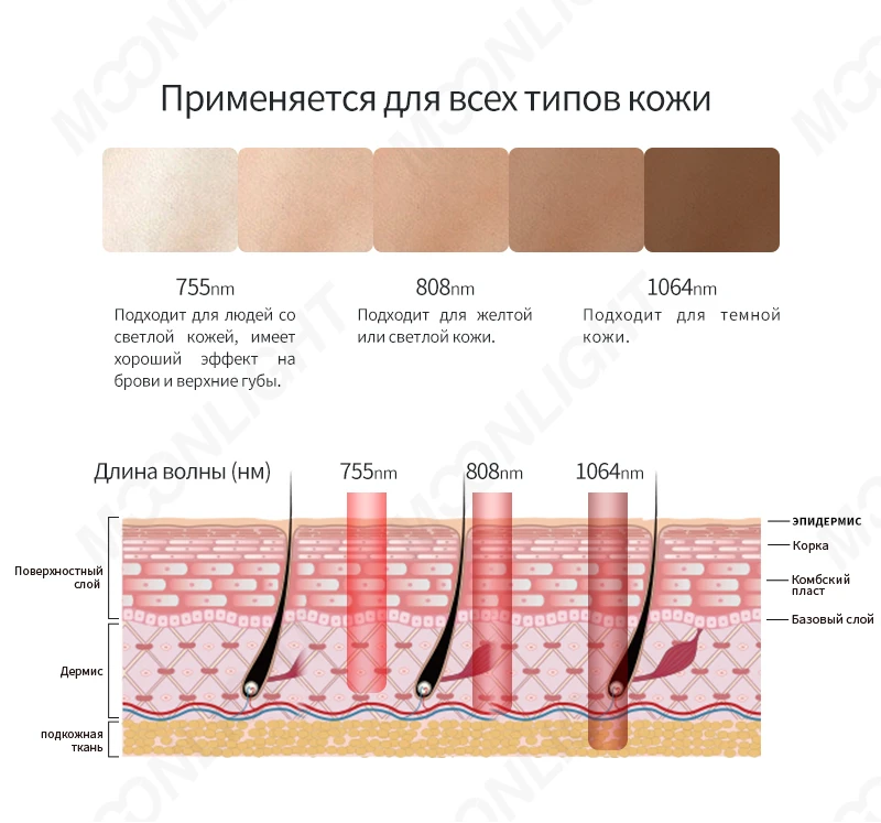 product-800-747 product-800-747