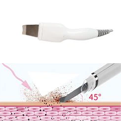 image003001 image003001