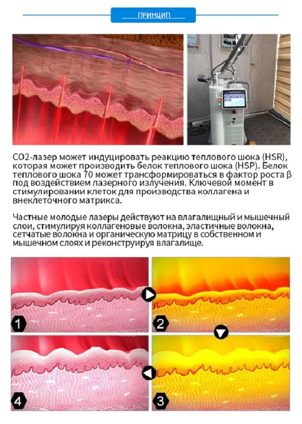 image003001 image003001